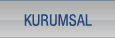 Kurumsal